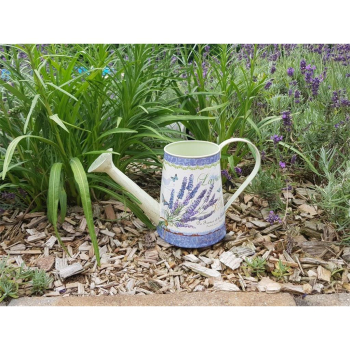 Gießkanne Lavendel, 30 cm