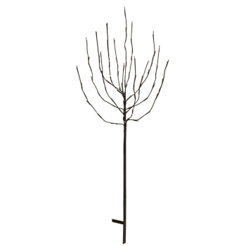 LED Baum, TOBBY TREE, 70-flammig, H 1100
