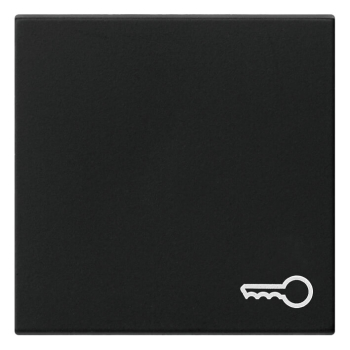 Wippe, für Symbol, SYSTEM 55, schwarz matt Tür
