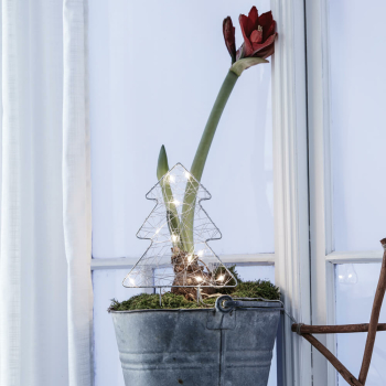 Weihnachtsleuchter GARDENER 10 warmweiße LED
