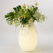 Joouly als Blumentopf Blumentopf